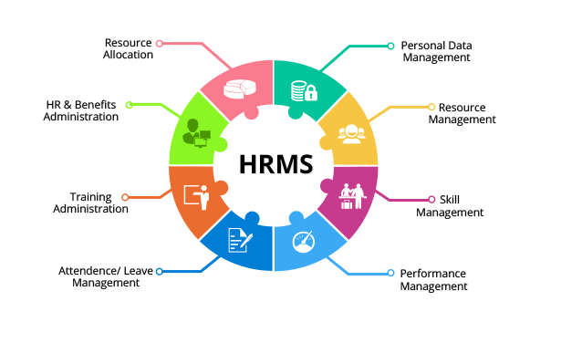 HRMS Software Solution in UAE & India (2026) | ANSI Services